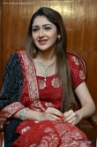 sayesha-saigal-during-interview-stills-31091