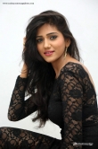 actress-shalu-chourasiya-stills-56811
