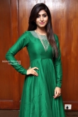 Varshini Sounderajan in green dress stills (1)