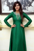 Varshini Sounderajan in green dress stills (10)
