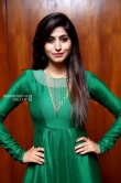 Varshini Sounderajan in green dress stills (3)