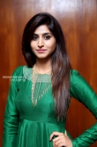 Varshini Sounderajan in green dress stills (5)