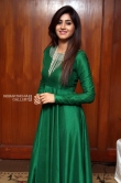 Varshini Sounderajan in green dress stills (6)