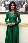 Varshini Sounderajan in green dress stills (7)