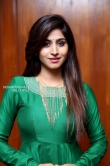 Varshini Sounderajan in green dress stills (9)