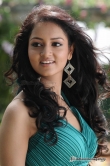 actress-shanvi-2012-photos-332487