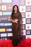 Shivada Nair at SIIMA awards 2018 day1 (2)