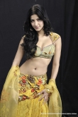 actress-shruthi-hassan-2010-photos-26994