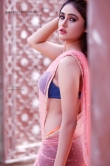 sony-charishta-in-pink-saree-photo-shoot-116197