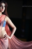 sony-charishta-in-pink-saree-photo-shoot-161201