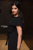 anchor shyamala at suryakantham movie pre release event (5)