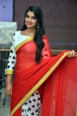 anchor shyamala in red saree stills (14)