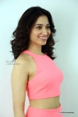 tamanna-bhatia-in-pink-dress-march-2016-pics-85858