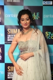 Tejaswini Prakash at SIIMA Awards 2019 (2)