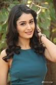actress-tridha-choudhury-stills-67485