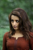 Trisha Krishnan in Mohini Movie (10)