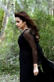 Trisha Krishnan in Mohini Movie (7)