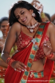 actress-vimalaraman-2010-photos-594052