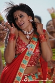 actress-vimalaraman-2010-photos-605806