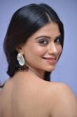 actress-Chandni-Bhatija-stills-17