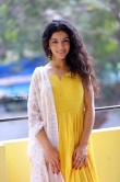 diksha sharma raina in yellow dress stills (6)
