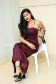Actress Divya Prasanna Stills (20)