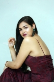 Actress Divya Prasanna Stills (26)