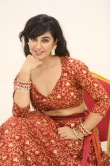 Actress Harshita Panwar Stills (52)