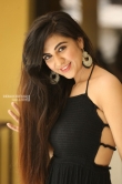 Harshita Panwar in black dress (14)