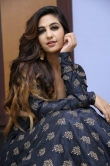 Actress Harshita Singh stills (29)