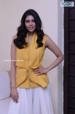Kalyani Priyadarshan in yellow dress august 2019 (18)