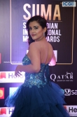 Malvika Sharma at SIIMA Awards 2019 (3)