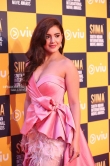 Malvika Sharma at SIIMA awards 2018 (1)