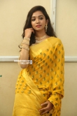 Meghna Mandumula at pochampally handloom launch (17)