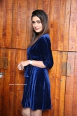Payal Rajput in blue dress (6)