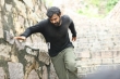 Pranav Mohanlal in Aadhi movie (26)
