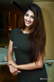 Actress Priya Vadlamani Stills (24)