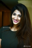 Actress Priya Vadlamani Stills (25)