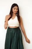 Priya Vadlamani in green dress december 2018 (1)