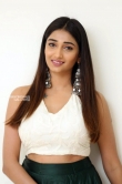 Priya Vadlamani in green dress december 2018 (18)