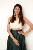 Priya Vadlamani in green dress december 2018 (19)