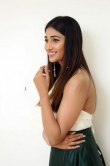 Priya Vadlamani in green dress december 2018 (3)
