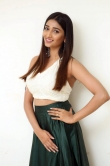Priya Vadlamani in green dress december 2018 (4)