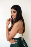 Priya Vadlamani in green dress december 2018 (6)