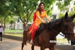 Radhika Kumaraswamy in Iruvar Oppandham Movie (16)