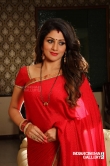 Radhika Kumaraswamy in Iruvar Oppandham Movie (27)