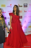 Red Carpet Miss India Grand Finale Photos (22)