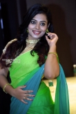 Remya Panicker in green saree stills (5)
