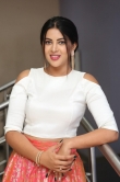 Actress Sahar Afsha Stills (25)