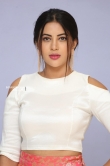 Actress Sahar Afsha Stills (4)